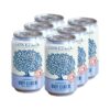 5835170-744173 Authentic Lonetree Dry Apple Cider 6 Pack Cans