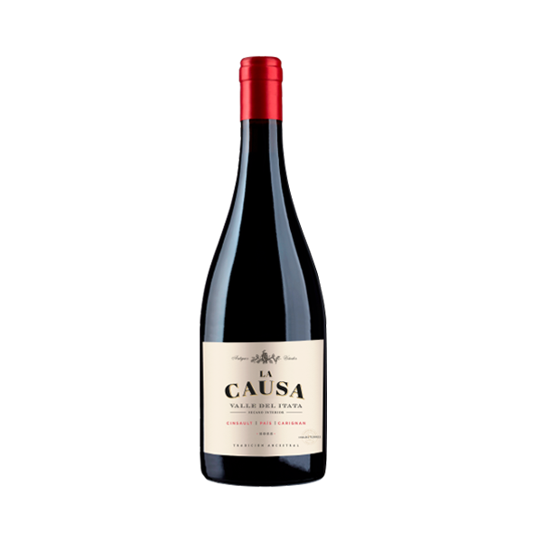 Torres La Causa 2022 Red Blend Torres La Causa 2022 Red Blend