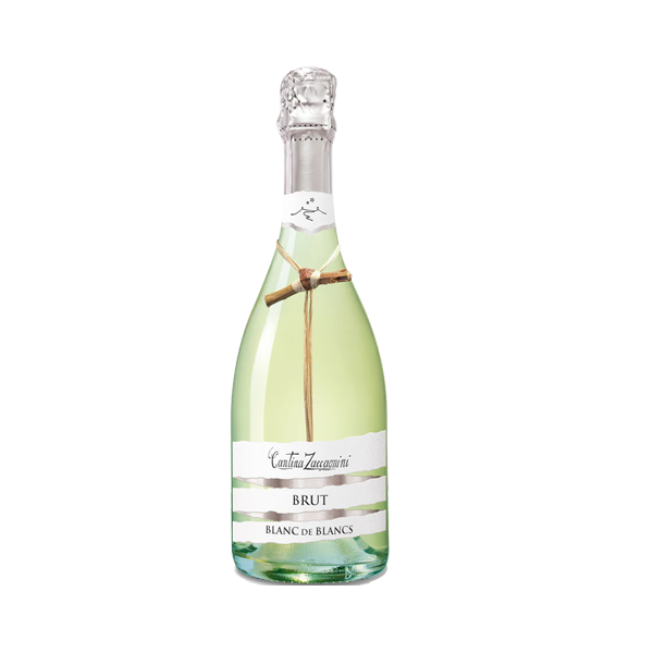 Zaccagnini NV Blanc De Blanc